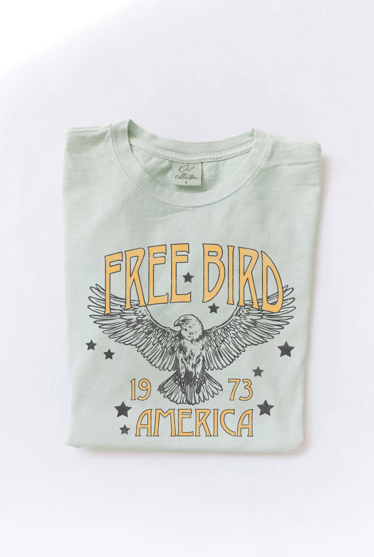 FREE BIRD AMERICA Mineral Washed Graphic Top