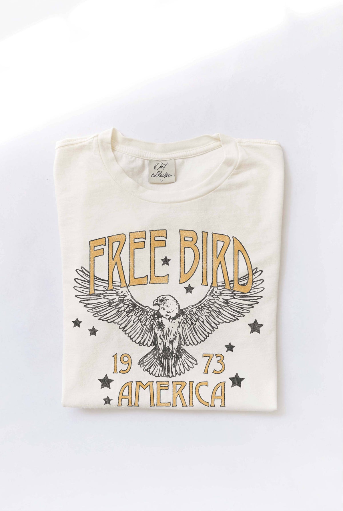 FREE BIRD AMERICA Mineral Washed Graphic Top