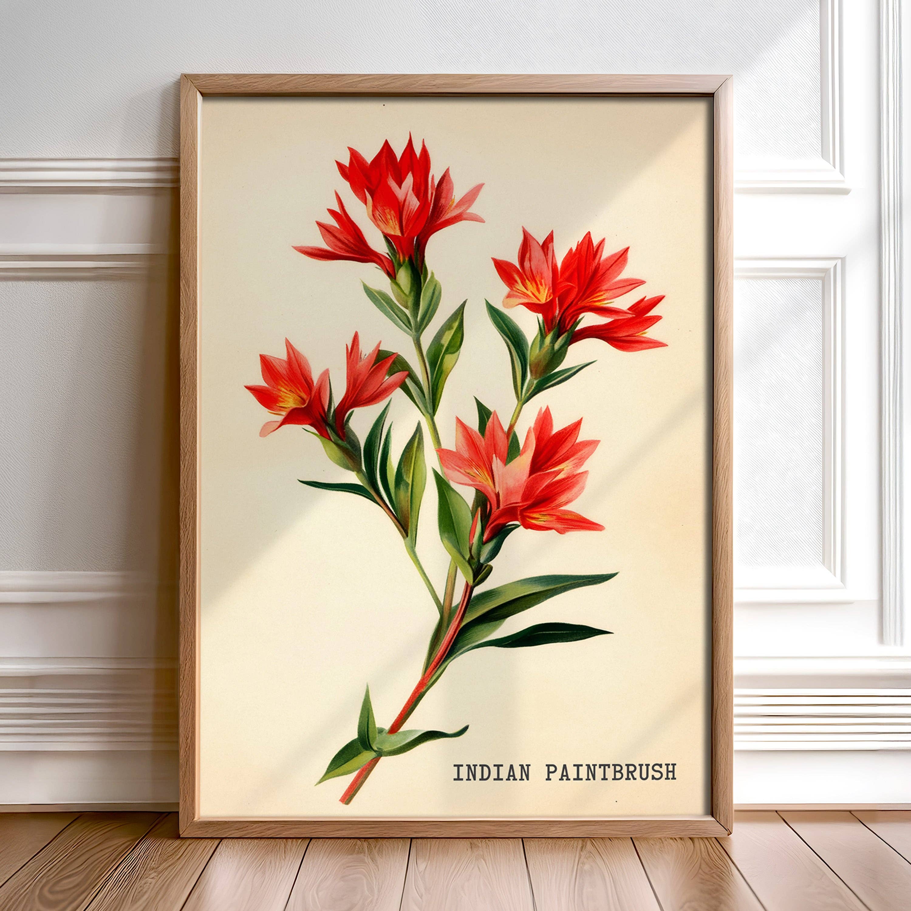 Indian Paintbrush Texas Wildflower French Market Seed Packet Art Print