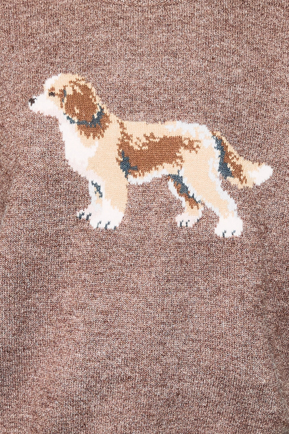Cockapoo Sweater